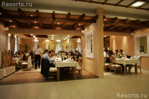 Spongiola Hotel 31